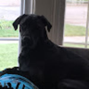 Meet your Posher, Gabby